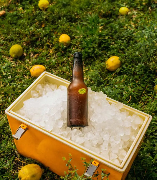 Botella de cerveza encima de una nevera naranja portátil, de fondo hay césped y limones en el suelo