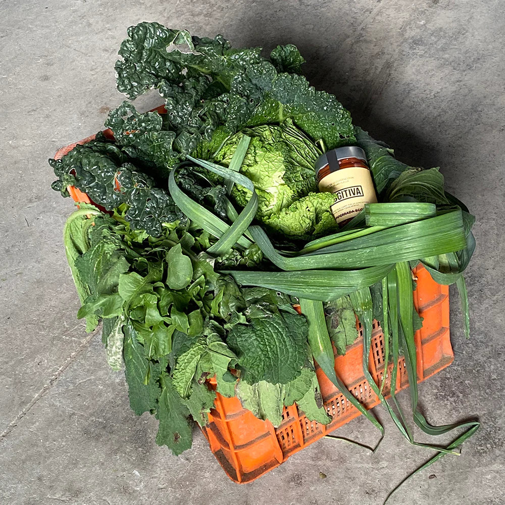 Verduras frescas que compononen el tarro de piperrada ecológica
