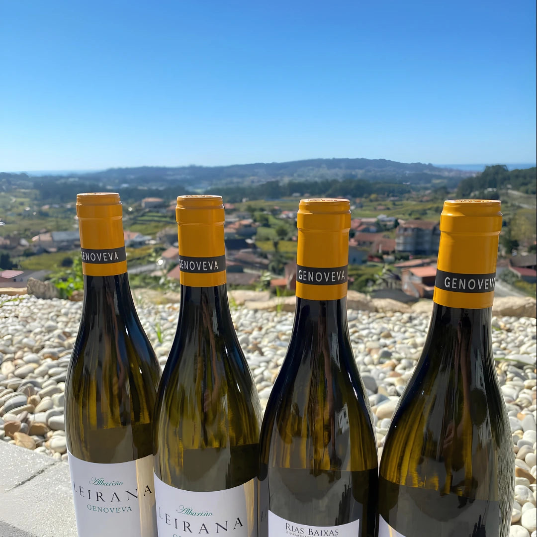 Composición de cuatro botellas de vino blanco Leirana ambientadas en el propio viñedo. Destaca en primer plano el cuello de la botella con su característica cápsula amarilla sobre el fondo de las cepas.