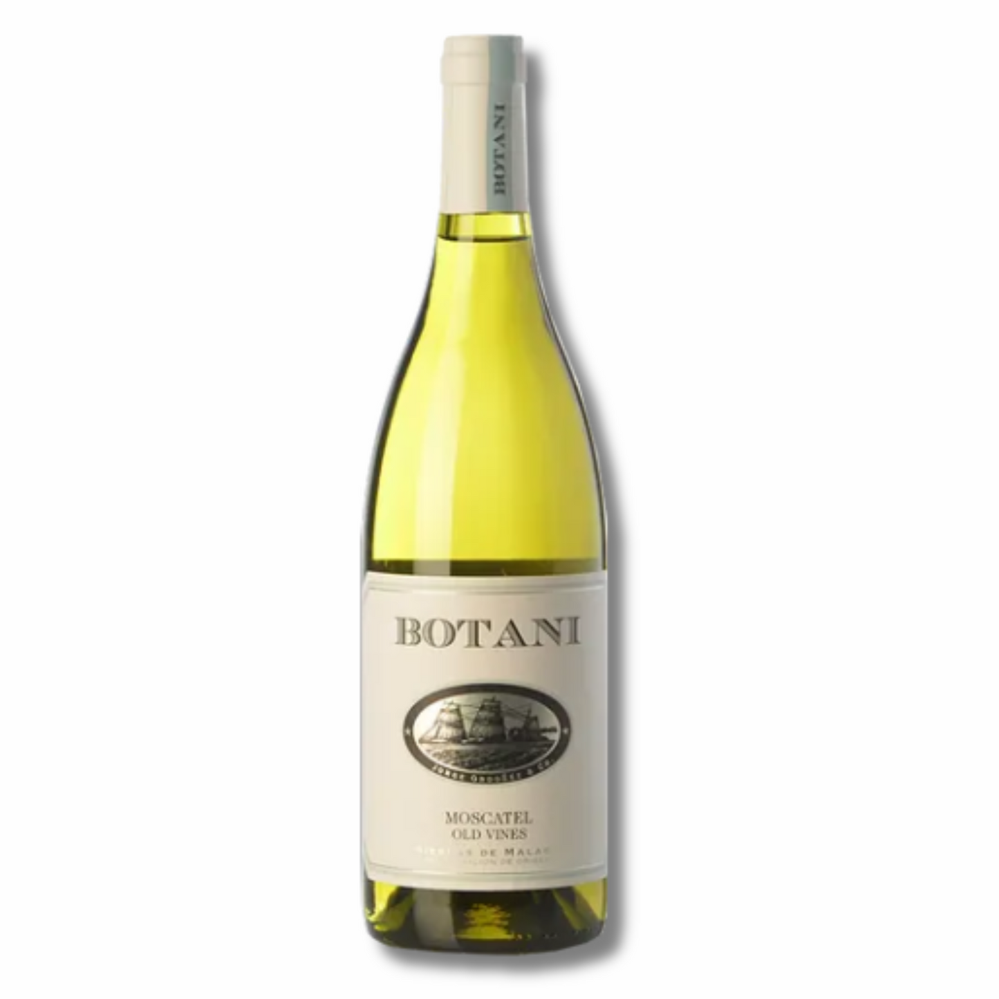 Vin blanc élevé en fûts d'Arrayán