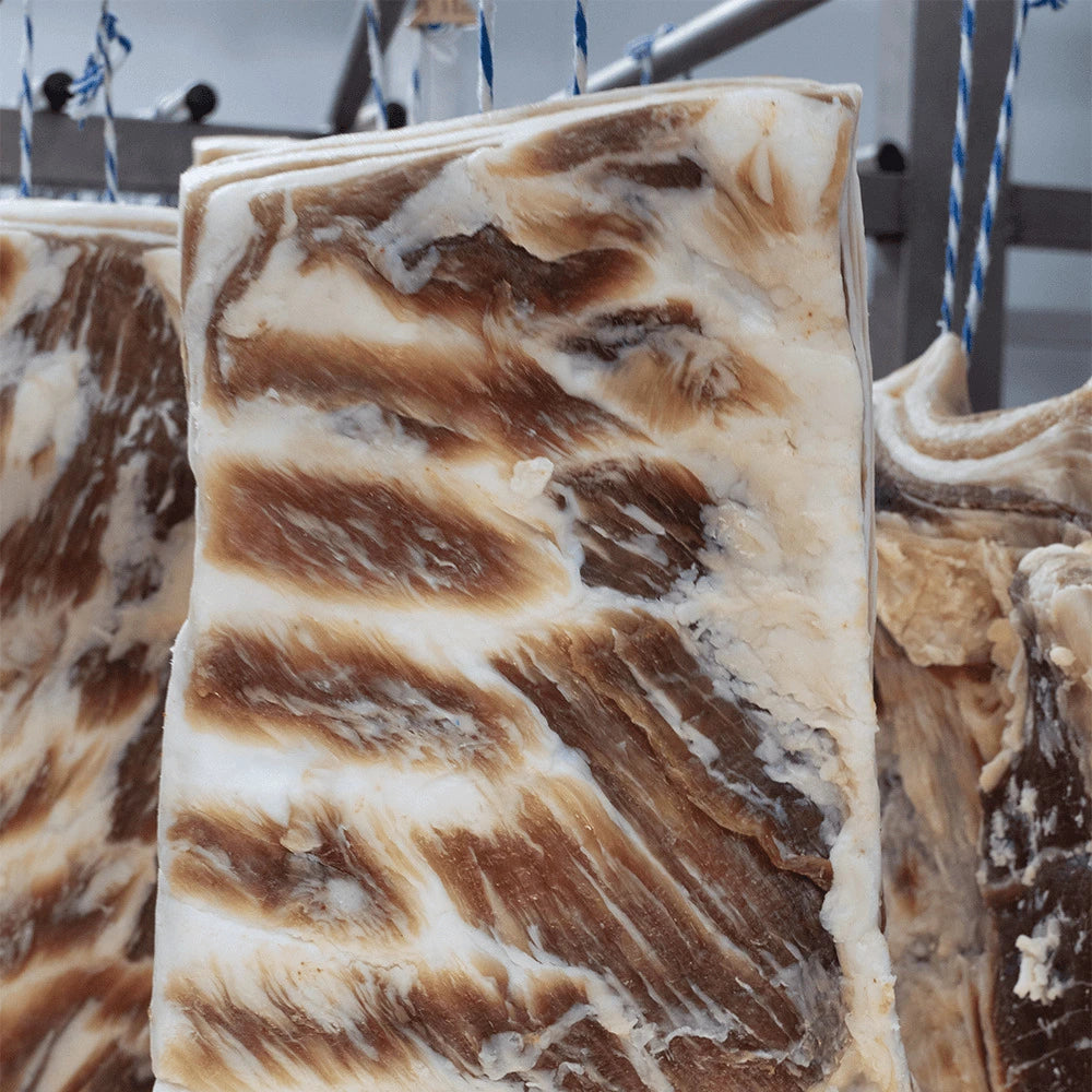 Pieza de tocino de chato murciano colgada en la cámara de secado