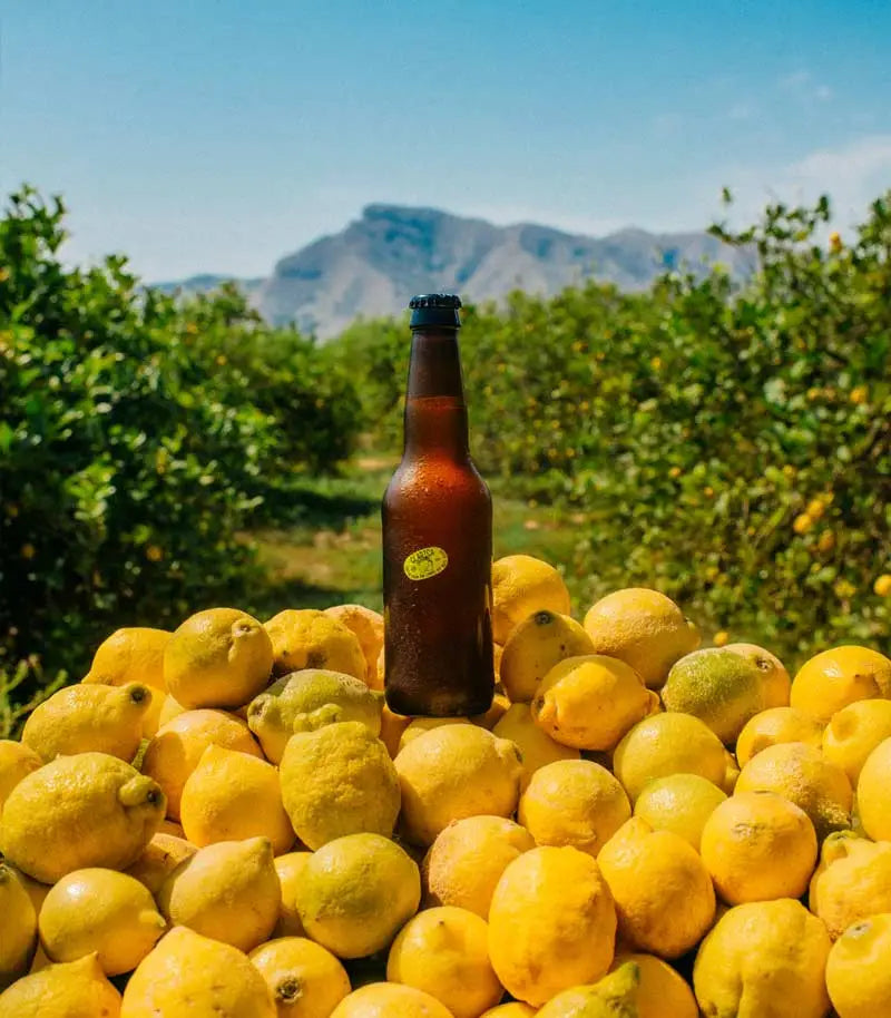 Botella de cerveza sobre una montaña de limones, de fondo un campo de limoneros