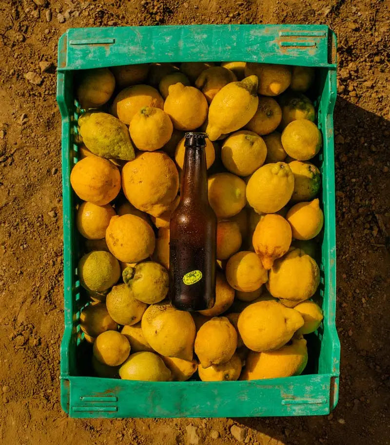 Caja de fruta de plastico verde llena de limones con una cerveza en el centro, en un suelo de arena
